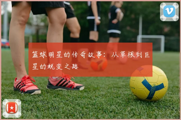 篮球明星的传奇故事:从草根到巨星的蜕变之路